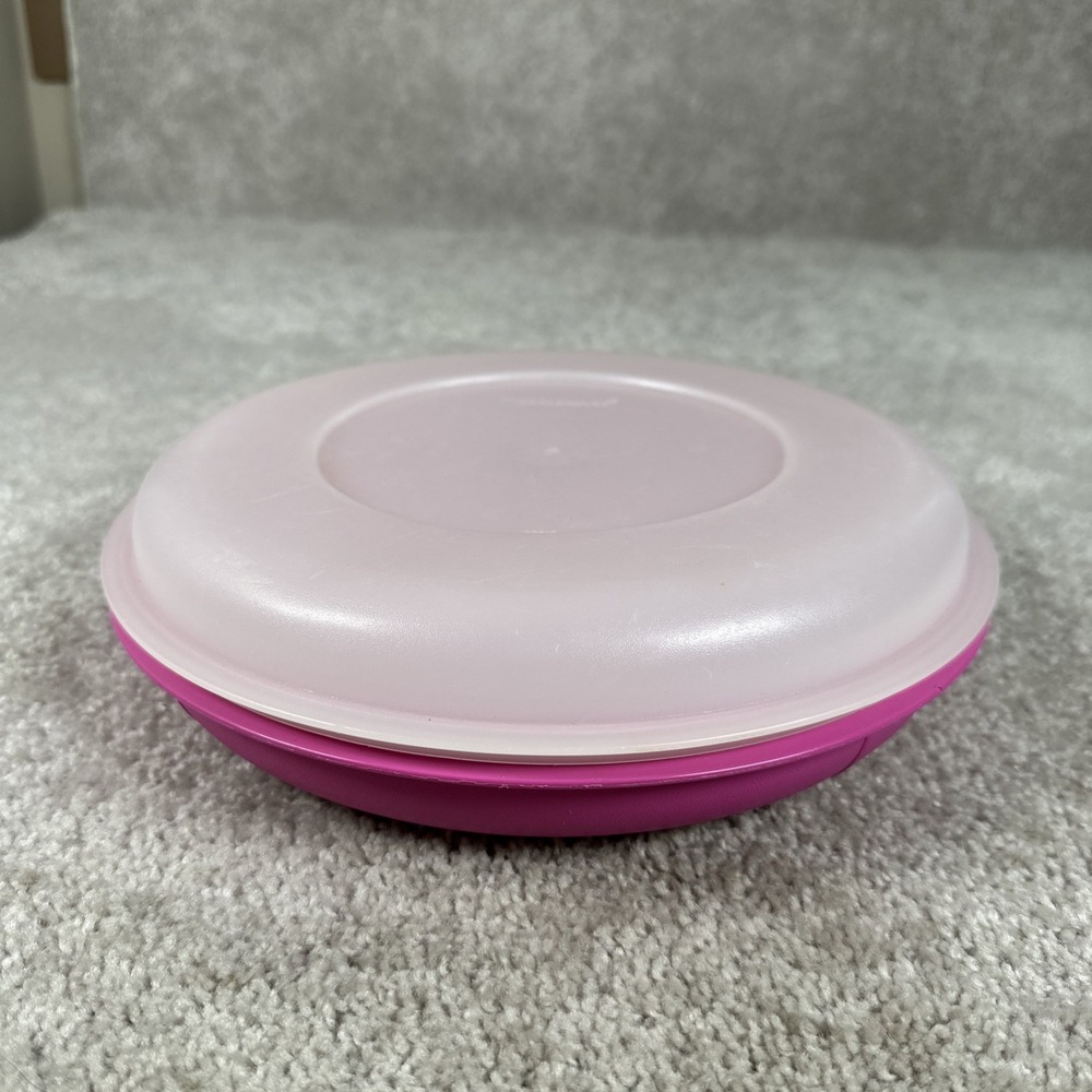 Tupperware 1708-6 & 1709-5 Divided Veggie & Dip Serving Tray VTG Pink